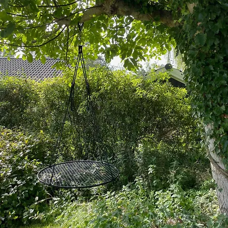 True Atmosphere With Sea View And *