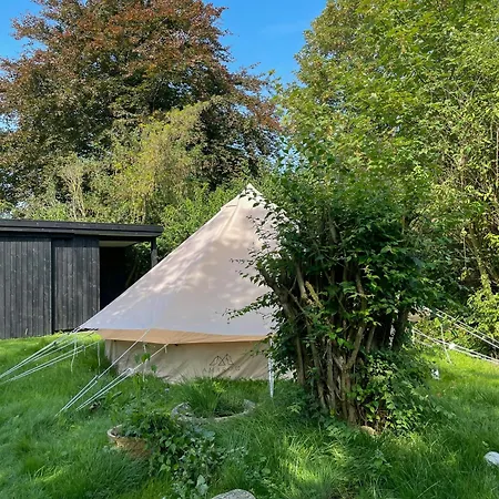 True Atmosphere With Sea View And *